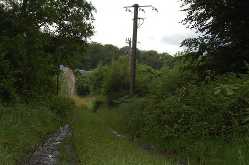 track