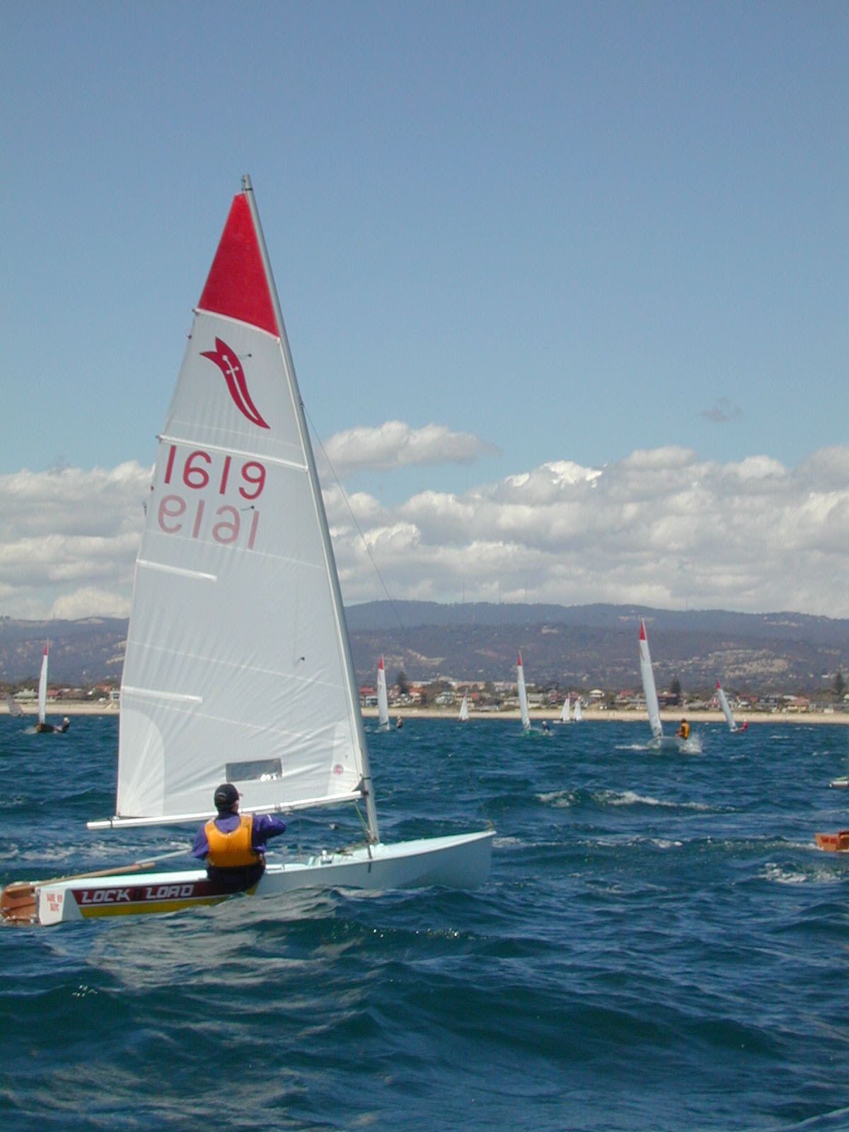 Sabre 1619 (Greg Warner) sailing at Brighton and Seacliff Yacht Club 