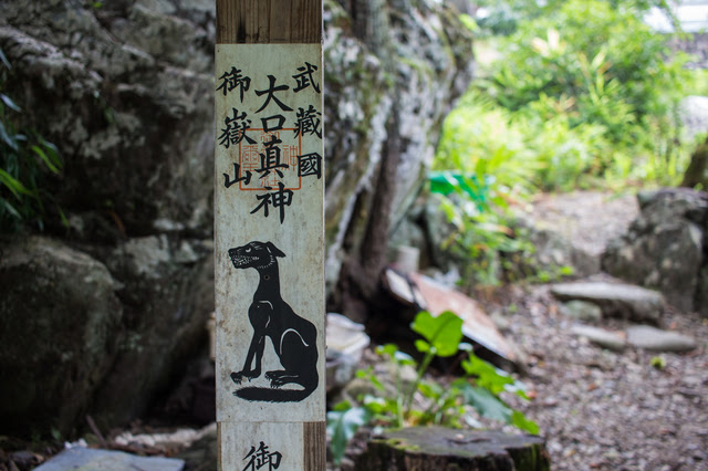 神様になった日本のオオカミ オオカミの守る星