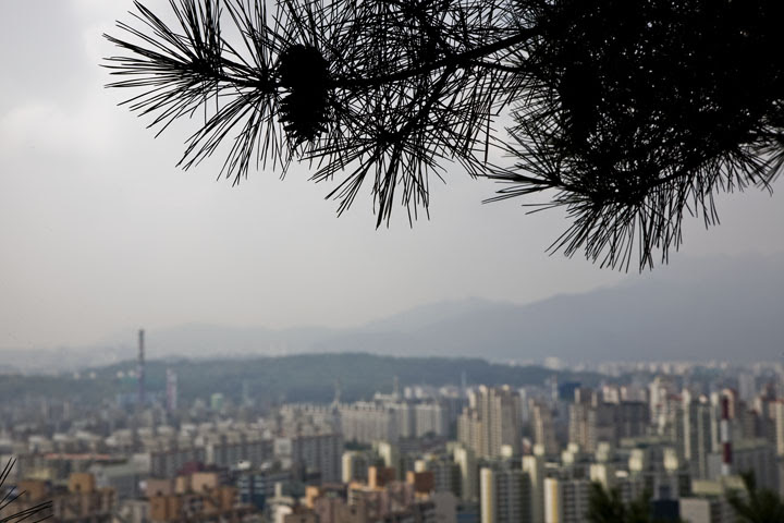 _MG_1888 copy