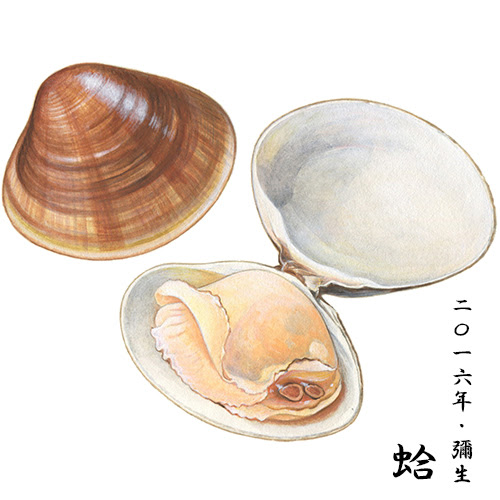 山田歩 山田工務店 Art Works モノの絵 蛤