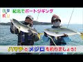 [ベスト] 釣り ジギング 235077-釣り ジギング 堤防