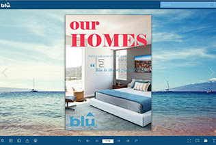 blue home