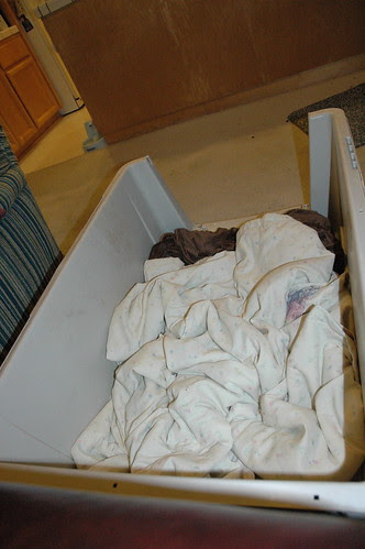 empty bed