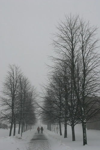 Snowfall Continuance