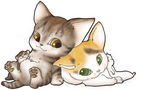 猫絵描きneupyの花のイラストと「銀魂」ヘタレらく描き。 【ﾗｽﾄﾆｬﾝｽﾞ 