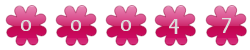 website hit counter