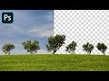 How to Cut Out a Tree in Photoshop