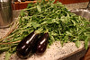 harvest