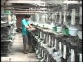 Video hướng dẫn nuôi bồ câu công nghiệp