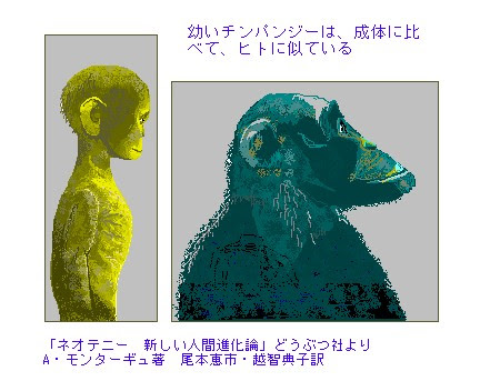 究極のエニアグラム