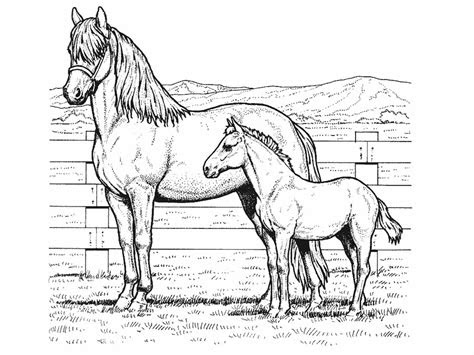 Are you searching horse coloring pages for your kids? horse coloring pictures horse printable coloring pages