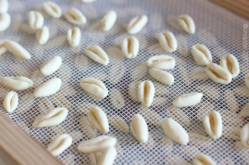 cavatelli