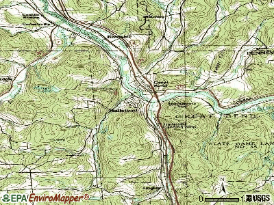 calle eight travel group