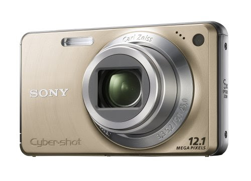 Review for Sony Cyber-shot DSCW270N Digital Camera - Gold (12.1 MP, 5x Optical Zoom) 2.7 inch LCD