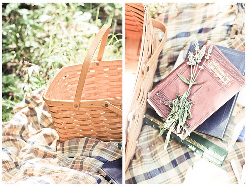 [156/365] make believe picnic