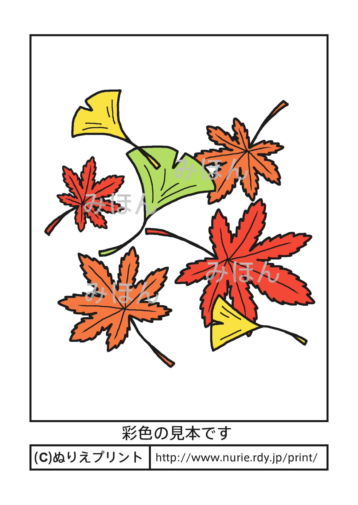 落ち葉 紅葉と銀杏 彩色見本 秋の季節 行事 大人の塗り絵 ぬりえプリント