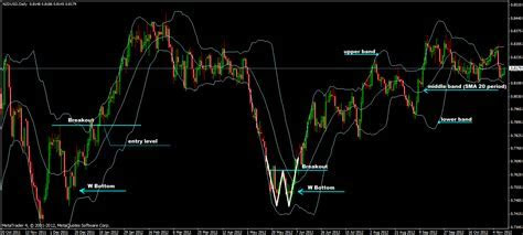 The best Forex indicators