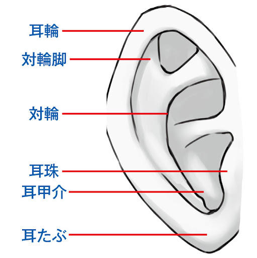 イメージ