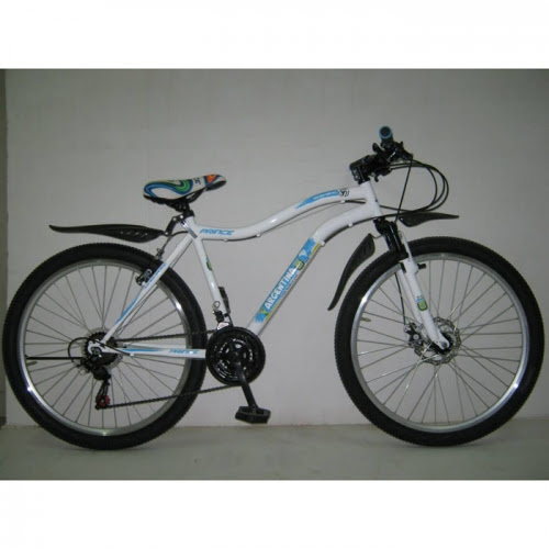 Prince ARGENTINA Bicycle