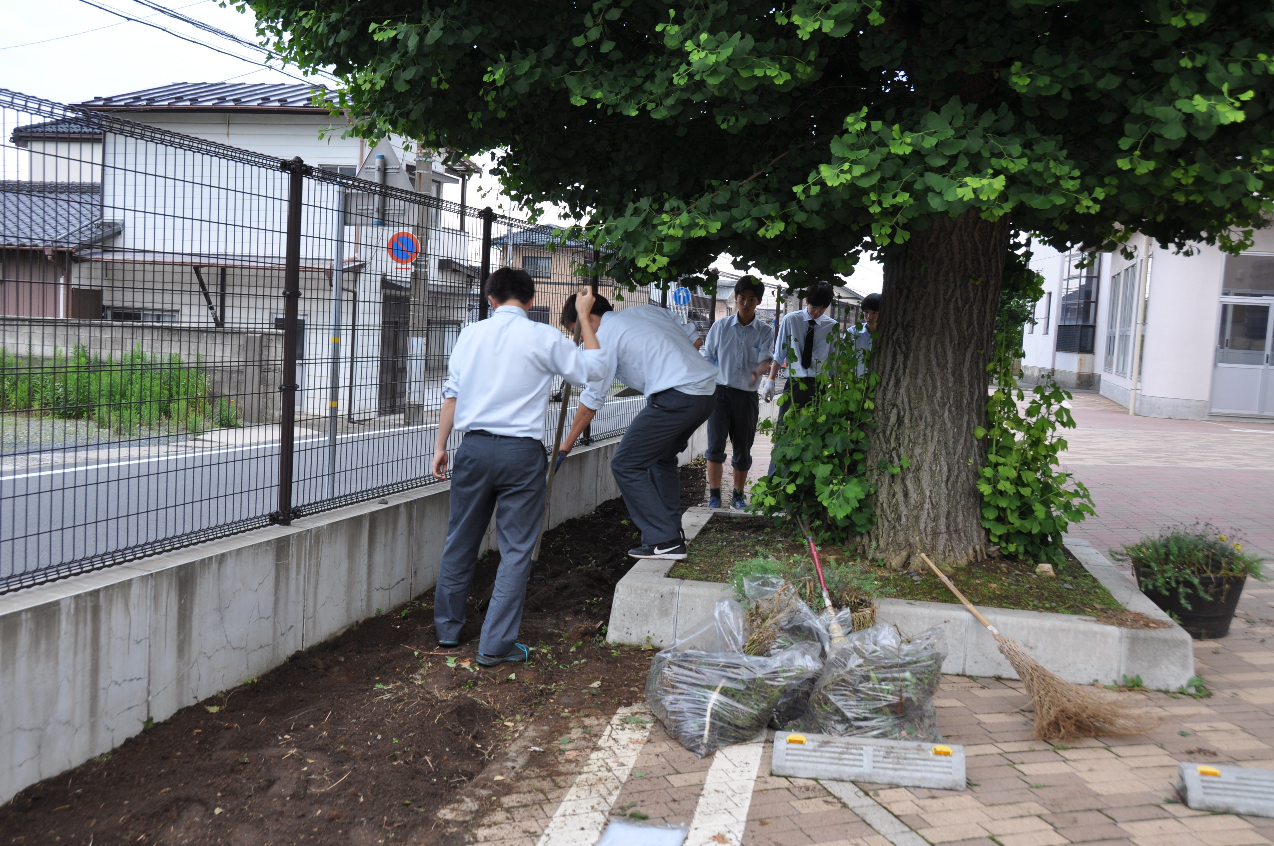 祝 ブログ更新100回 雑草だらけの花壇が 明秀学園日立高等学校 入試情報ブログ