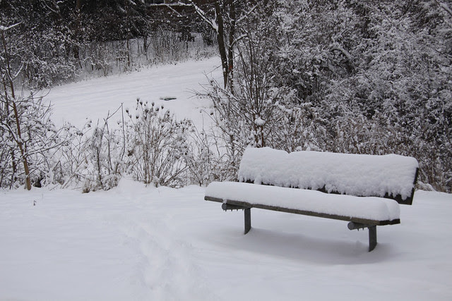 first real snow