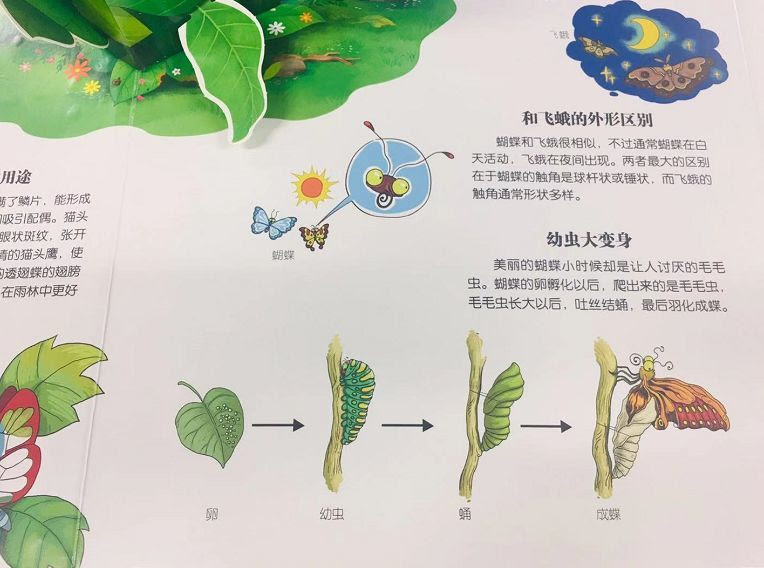 黄多多又又又上热搜了 不过这次被夸奖了 会玩的孩子 更有出息 育儿 中华健康网