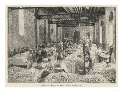 perfume factory in Portugal