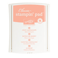 Crisp Cantaloupe Classic Stampin' Pad