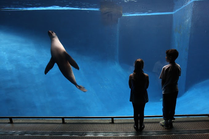 Melbourne's zoos are now completely powered by renewable energy