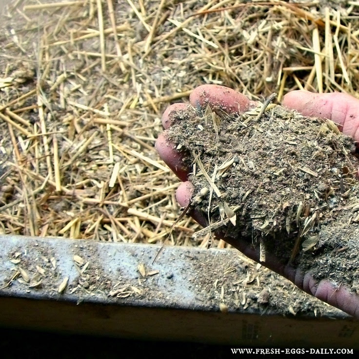 The Deep Litter Method aka Chicken Coop Winter Composting