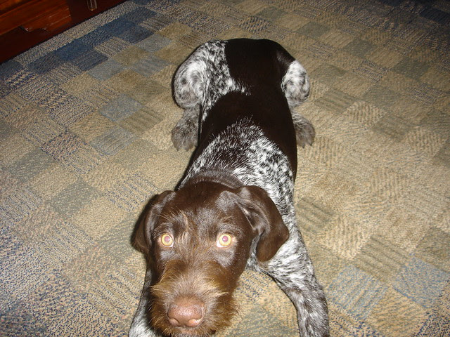 my mom's memory card