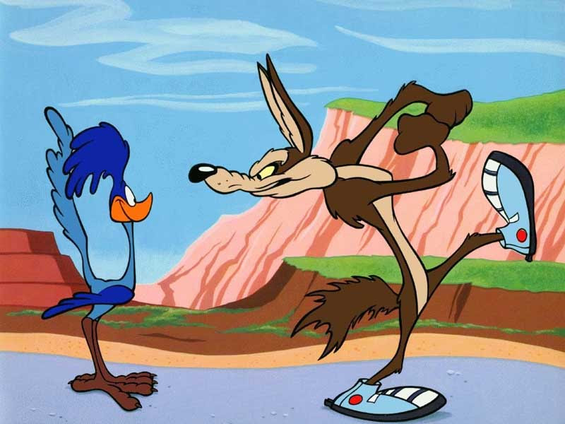 Roadrunner Cartoon