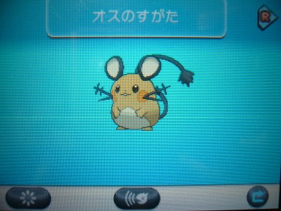 デデンネ よもぎの色ポケコレクションブログ