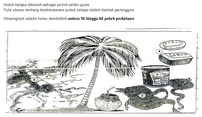 Contoh Jawapan Bahasa Melayu Penulisan UPSR: Bahagian B 