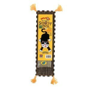 See Fat Cat Kitty Hoots Big Mama's Scratchy Box Slim Purple