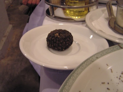 Truffle in Istria