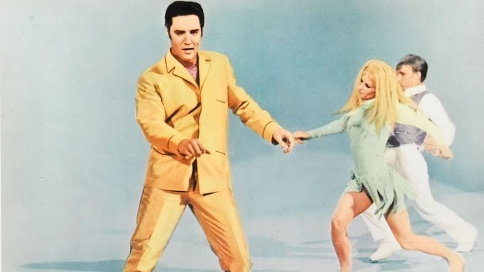 Watch Live a Little, Love a Little (1968) Movies Full 720p Streaming
Online
