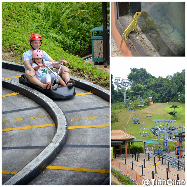 Hard Rock Hotel Singapore Tippling Club Reebonz Space MasterCard Priceless