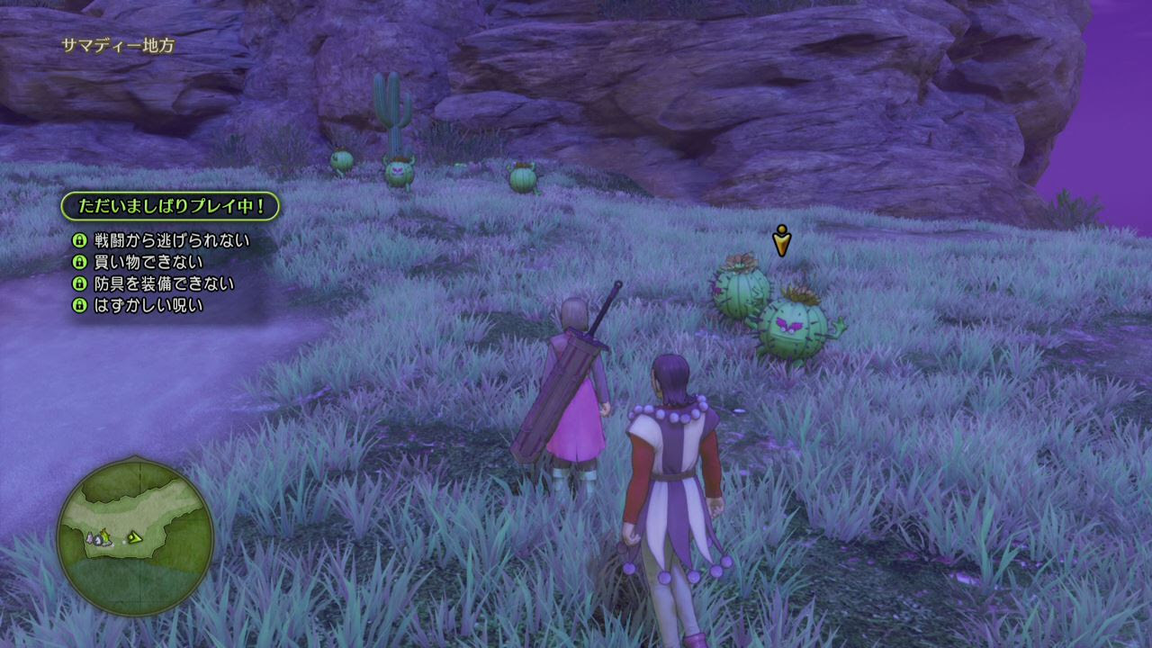 ドラクエ11 感想19話 女の子の着せ替えしたいです Ps4超ゲーム評価と感想 友達がいない男