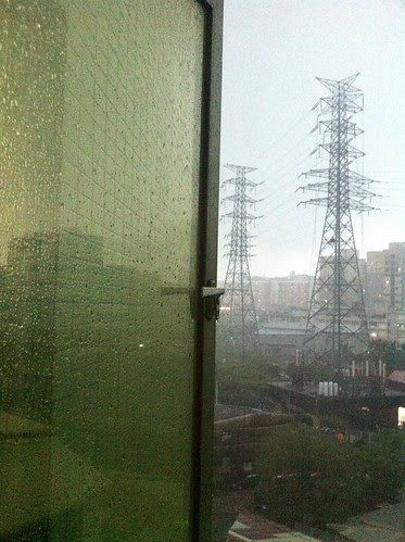It rains dogs and cats by Idiot frog