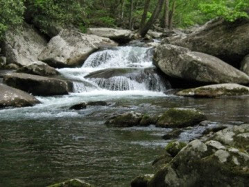 Smokies Completes Comprehensive Stream Mapping Project