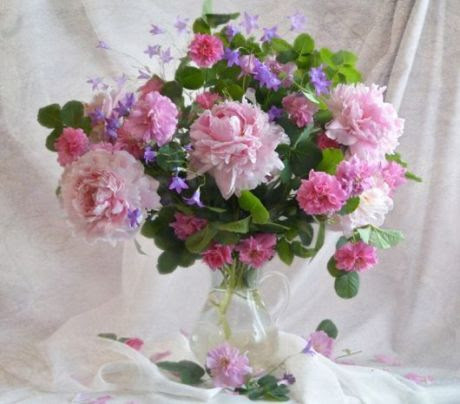 Pünkösdi rózsa, bazsarózsa