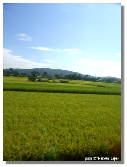 R0013049