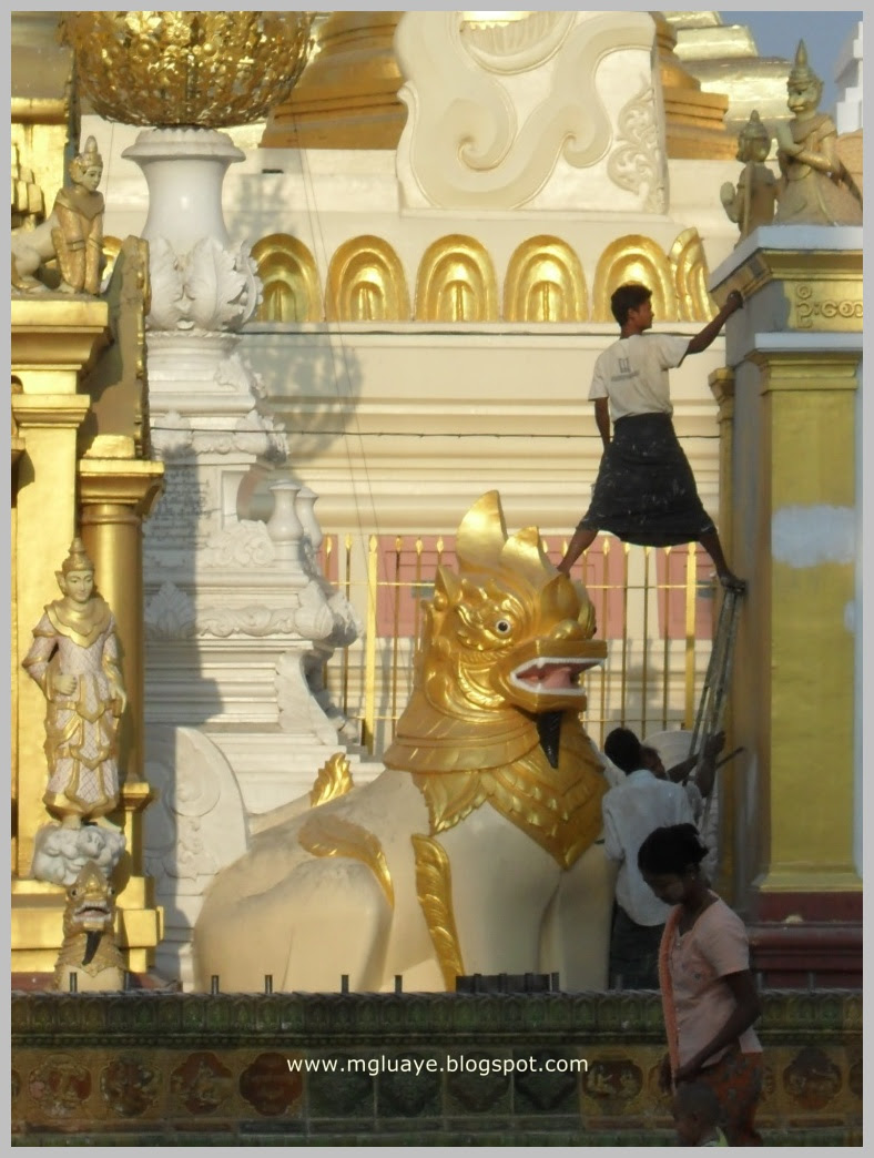 Photo of The Trip