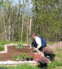 Terry at work