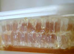 Honey comb