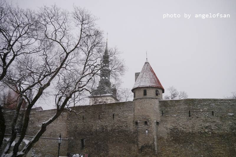 P1070853.JPG