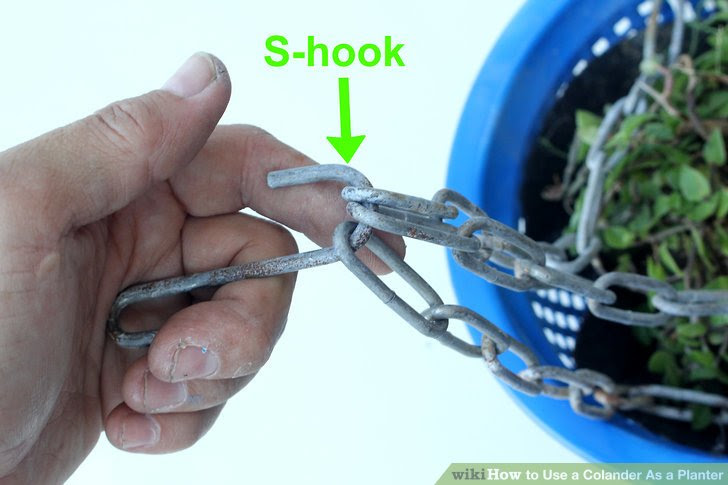 Use a Colander As a Planter Step 13.jpg