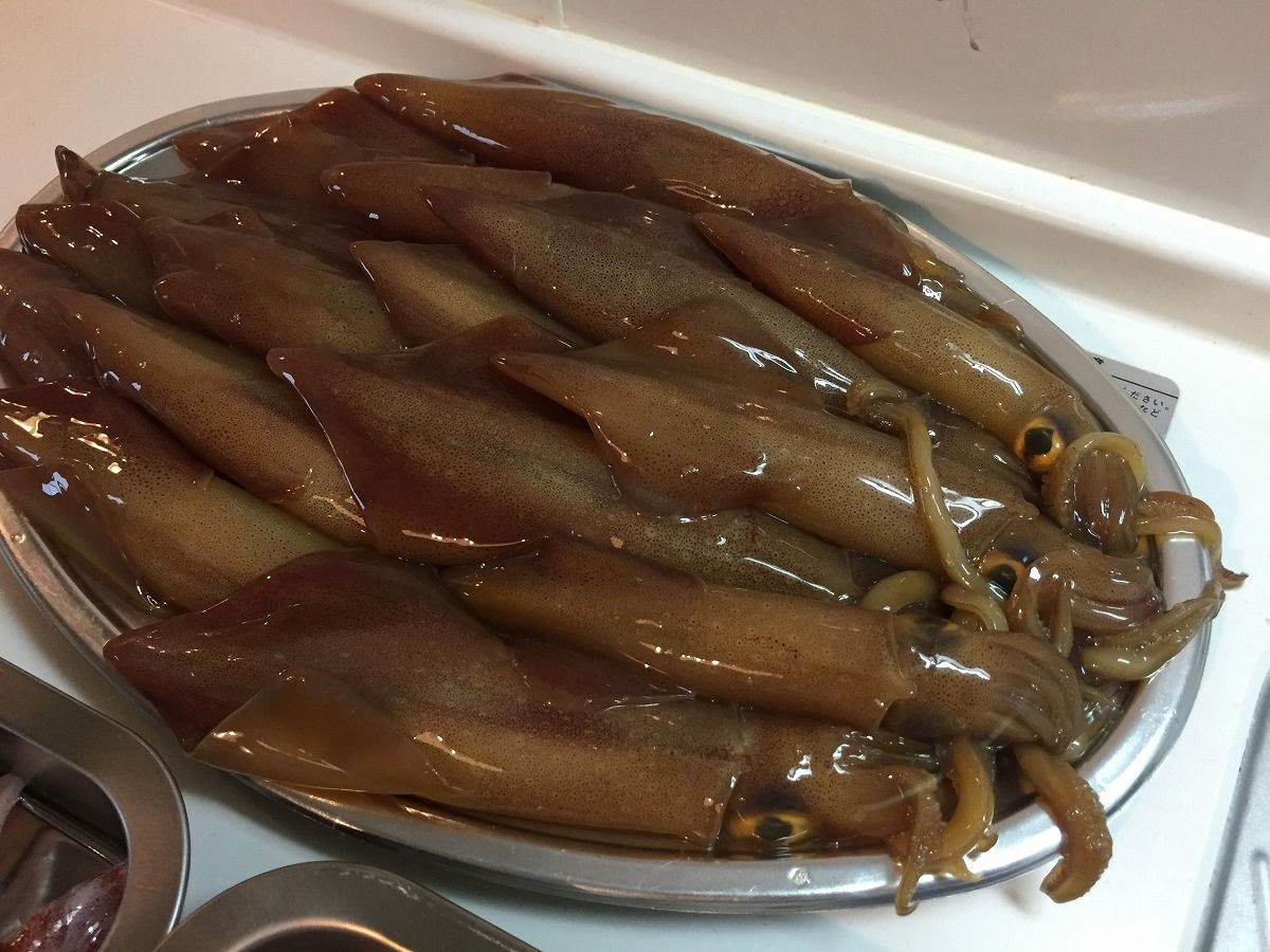 ご近所様に誘われてヤリイカを狙った夜焚きイカ釣行に行って来ました 居酒屋村上